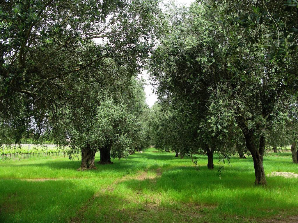 Masseria San Polo Squinzano ภายนอก รูปภาพ