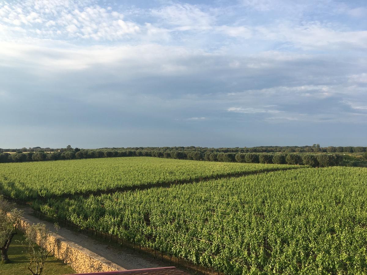 Masseria San Polo Squinzano ภายนอก รูปภาพ